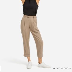 Everlane Put Together Pleat Pant Clay US 2